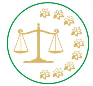 logo ratuizin